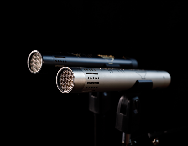 Image on black background of two Sontronics STC-1 pencil-style microphones in their clips mounted on microphone stands with their end grilles facing forwards and to the left. On the left is a black microphone with gold logo and lettering and on the right is a silver mic with black logo and lettering